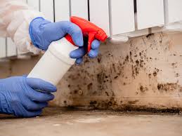 Mold Removal for HVAC Installations in Iyanbito, NM